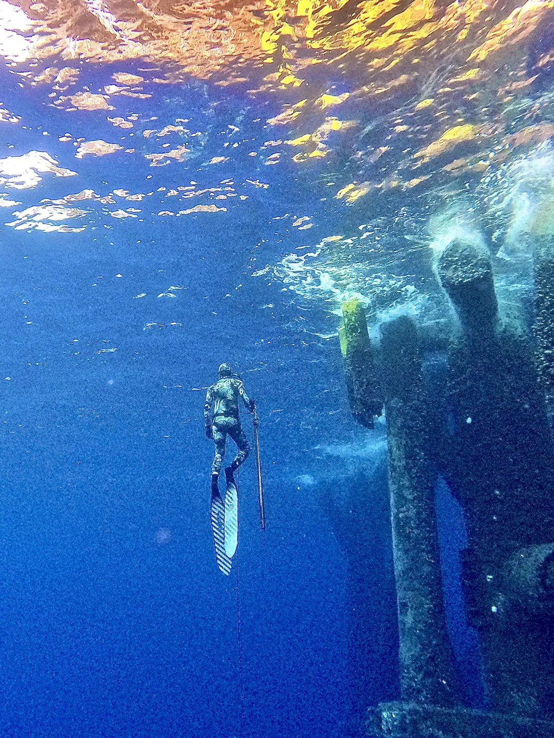 High-performance marine-grade teak speargun with oil finish