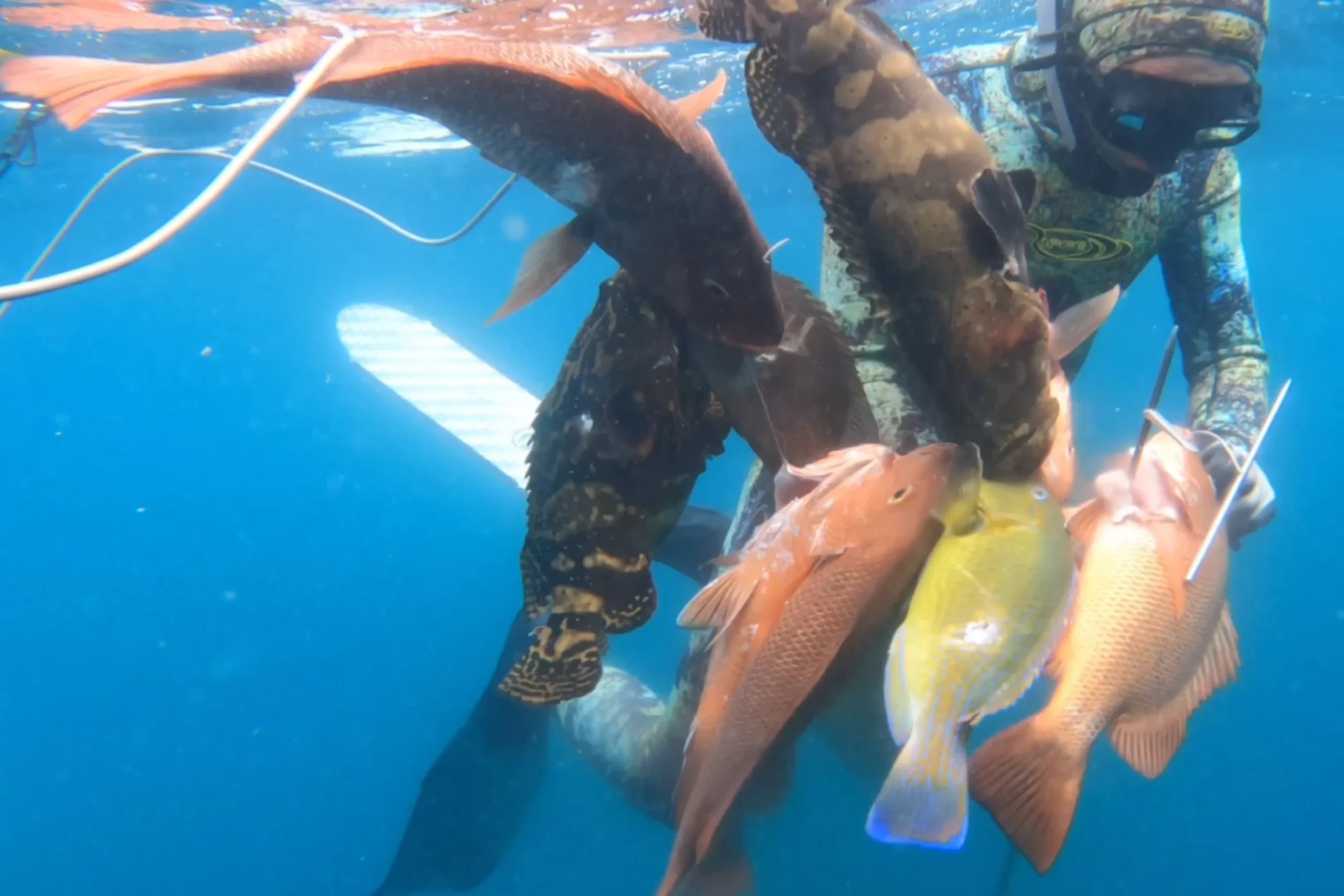Symmetrical teak barrel design for maximum underwater stability.
